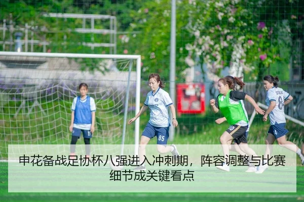 申花备战足协杯八强进入冲刺期，阵容调整与比赛细节成关键看点